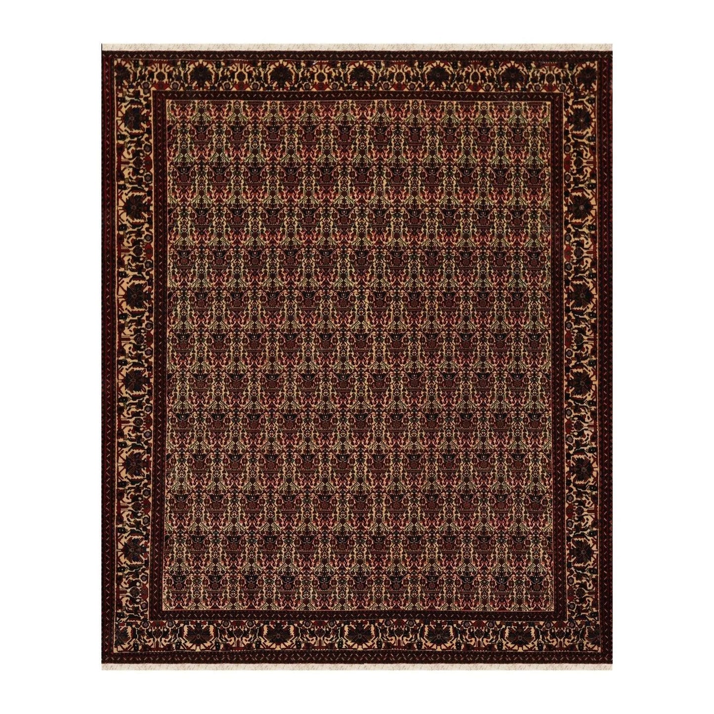 6x9 Ivory, Rust Hand Knotted 100% Wool Vase 200 KPSI Authentic Persian Oriental Area Rug