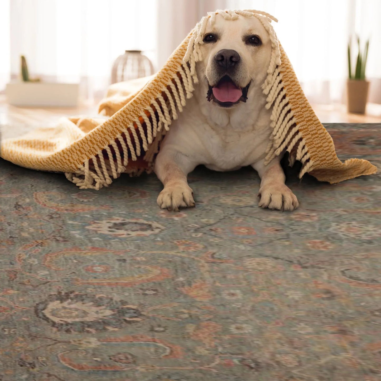 9x12 Gray, Blush Hand Knotted Distress Quality 100% Wool Traditional Oriental Area Rug