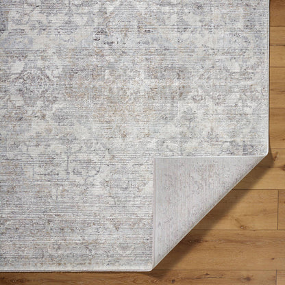 Zerrick Traditional Light Gray Area Rug