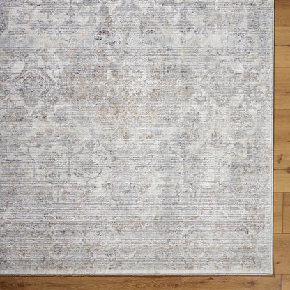 Zerrick Traditional Light Gray Area Rug