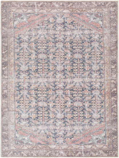 Sahra Traditional Brown/Blue Washable Area Rug