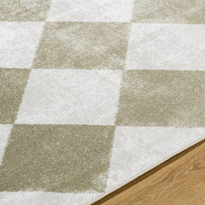 Senior Modern Dusty Sage Washable Area Rug