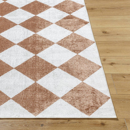Senior Modern Rust Washable Area Rug