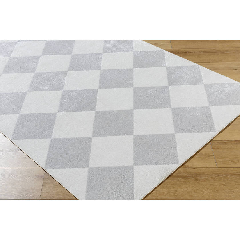Senior Modern Light Gray Washable Area Rug