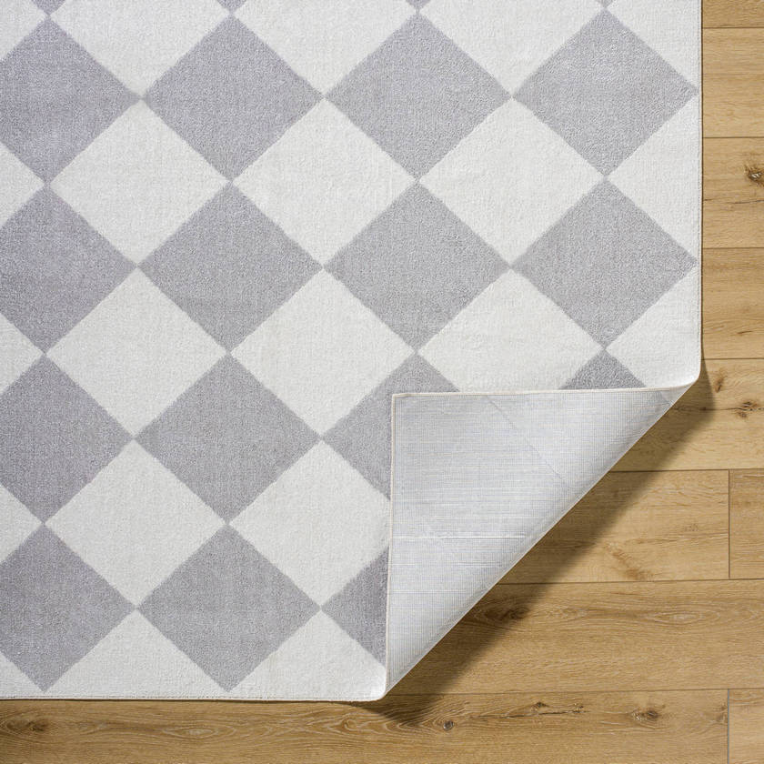 Senior Modern Light Gray Washable Area Rug