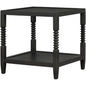 Saraann Black End Table