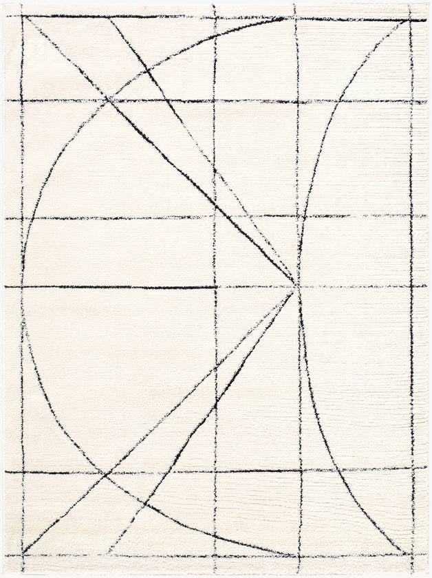 Architect Modern Black/Ivory Area Rug - Galey Alix Livabliss