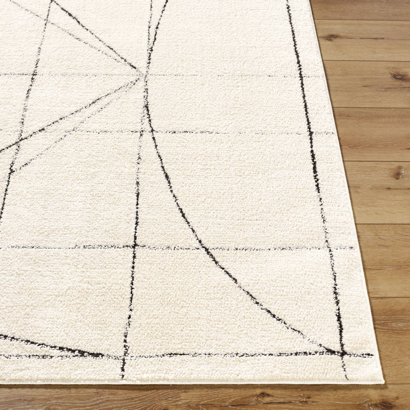 Architect Modern Black/Ivory Area Rug - Galey Alix Livabliss