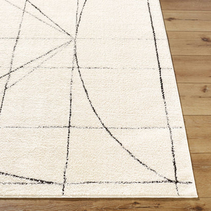Architect Modern Black/Ivory Area Rug - Galey Alix Livabliss