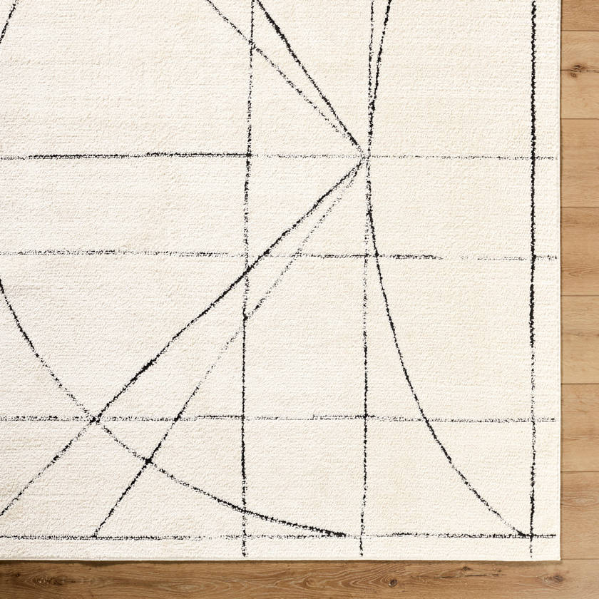 Architect Modern Black/Ivory Area Rug - Galey Alix Livabliss