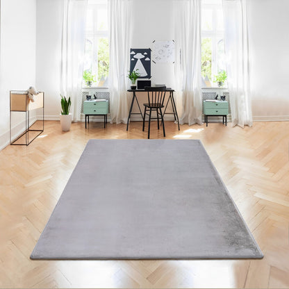 Light Grey Plush Area Rug