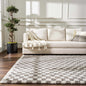 Kieu Taupe Checkered Plush Rug