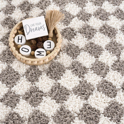 Kieu Taupe Checkered Plush Rug