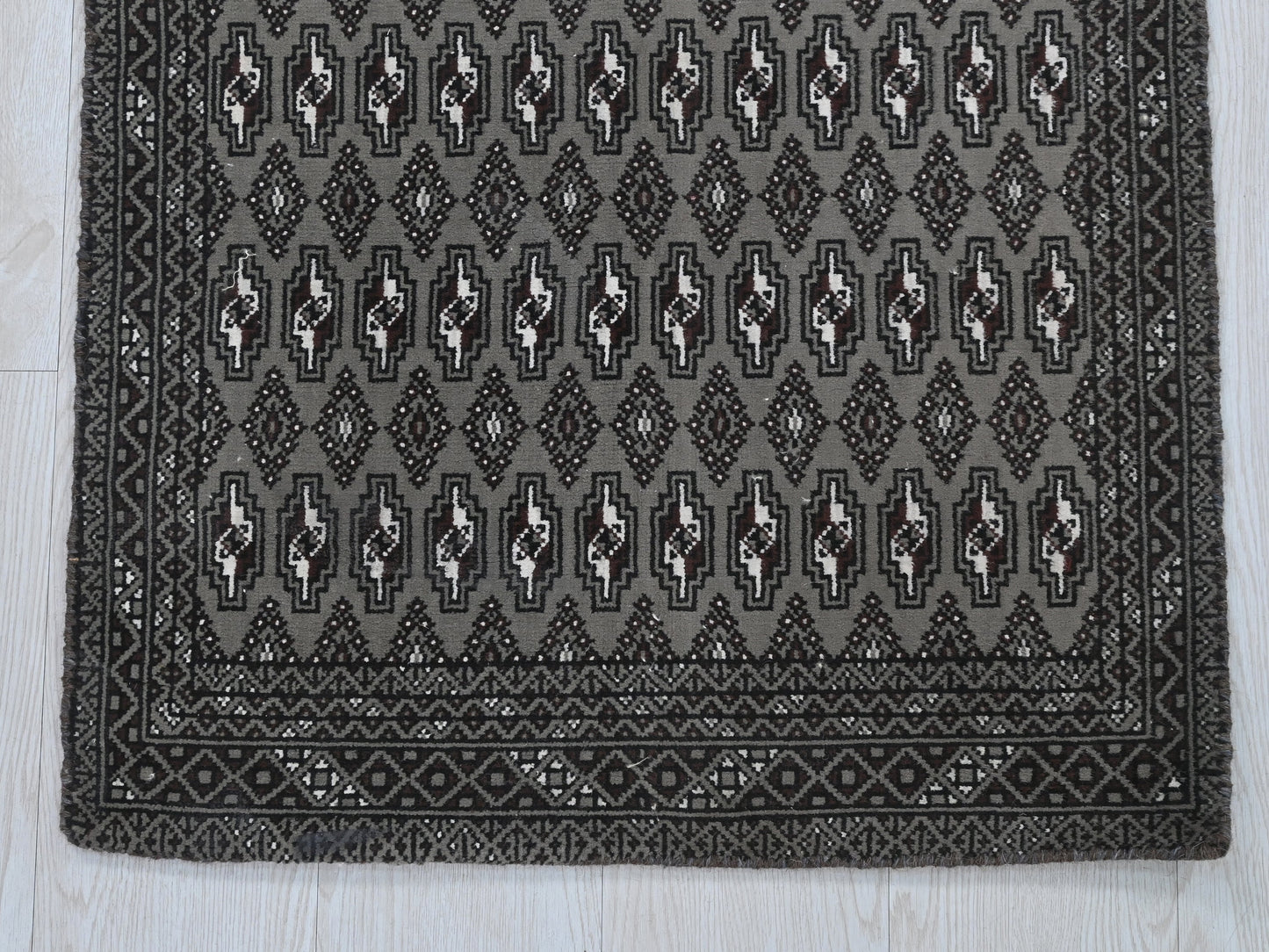 2' 0" x 4' 1"