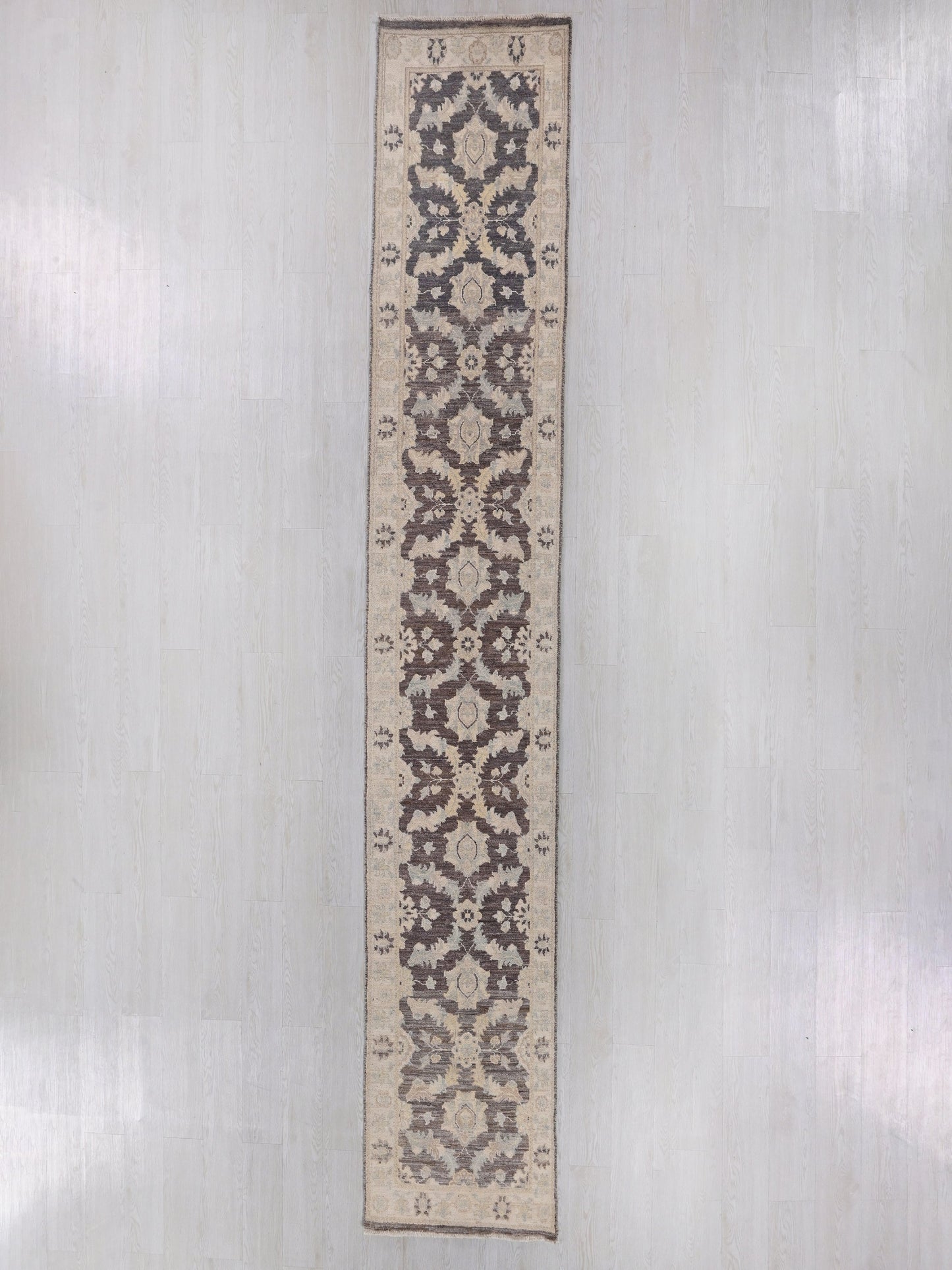 2' 3" x 14' 3"