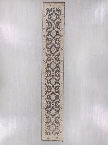 2' 3" x 14' 3"