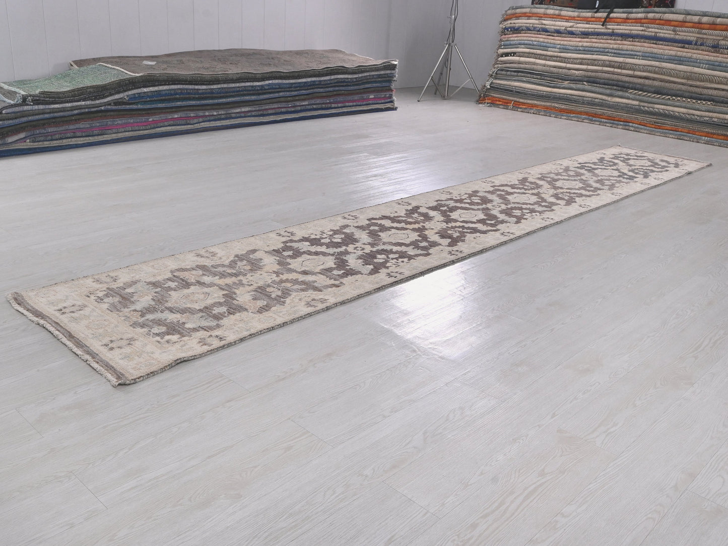 2' 3" x 14' 3"