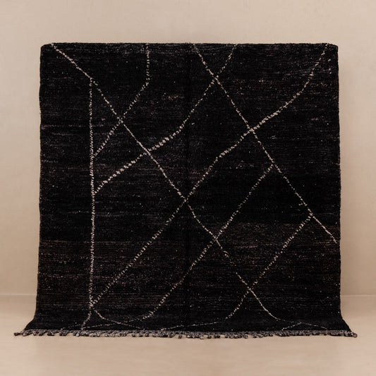 Sahil - taznakht kilim rug