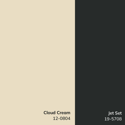 Architect Modern Black/Ivory Area Rug - Galey Alix Livabliss