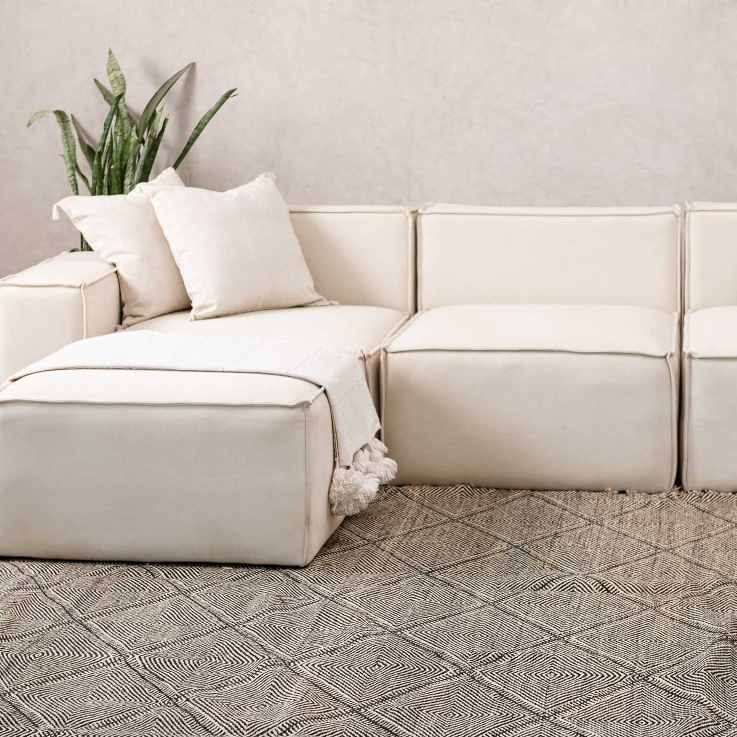 Jawida - taznakht kilim rug