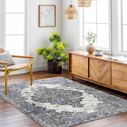 ROY's Home Alfombras de un nivel, diseño clásico, hilo marfil brillante, gris y beige 