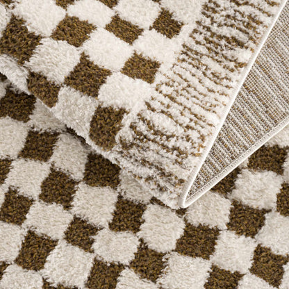 Leryn Brown Checkered Plush Rug