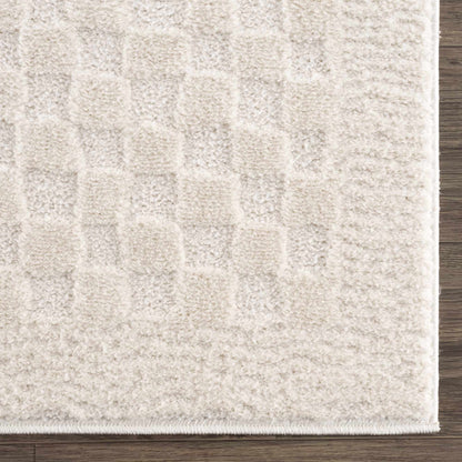 Leryn Ivory Checkered Area Rug