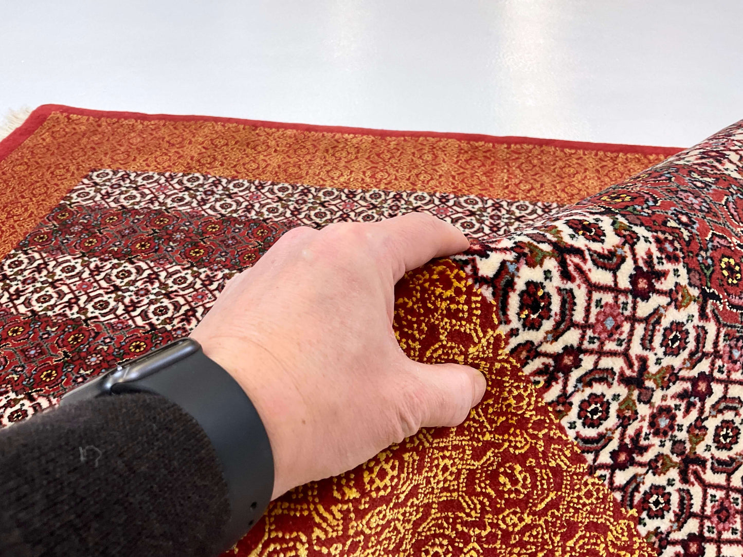 Persian Bijar Striped Herati Design (3'05"x5'01") rust/red/ivory