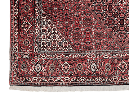 Persian Bijar (6'07"x9'05") red/indigo