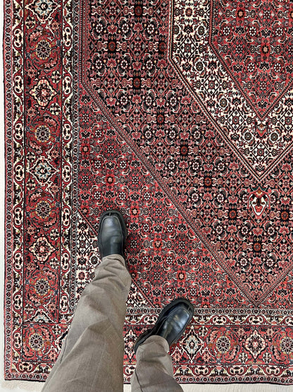 Persian Bijar (6'07"x9'05") red/indigo