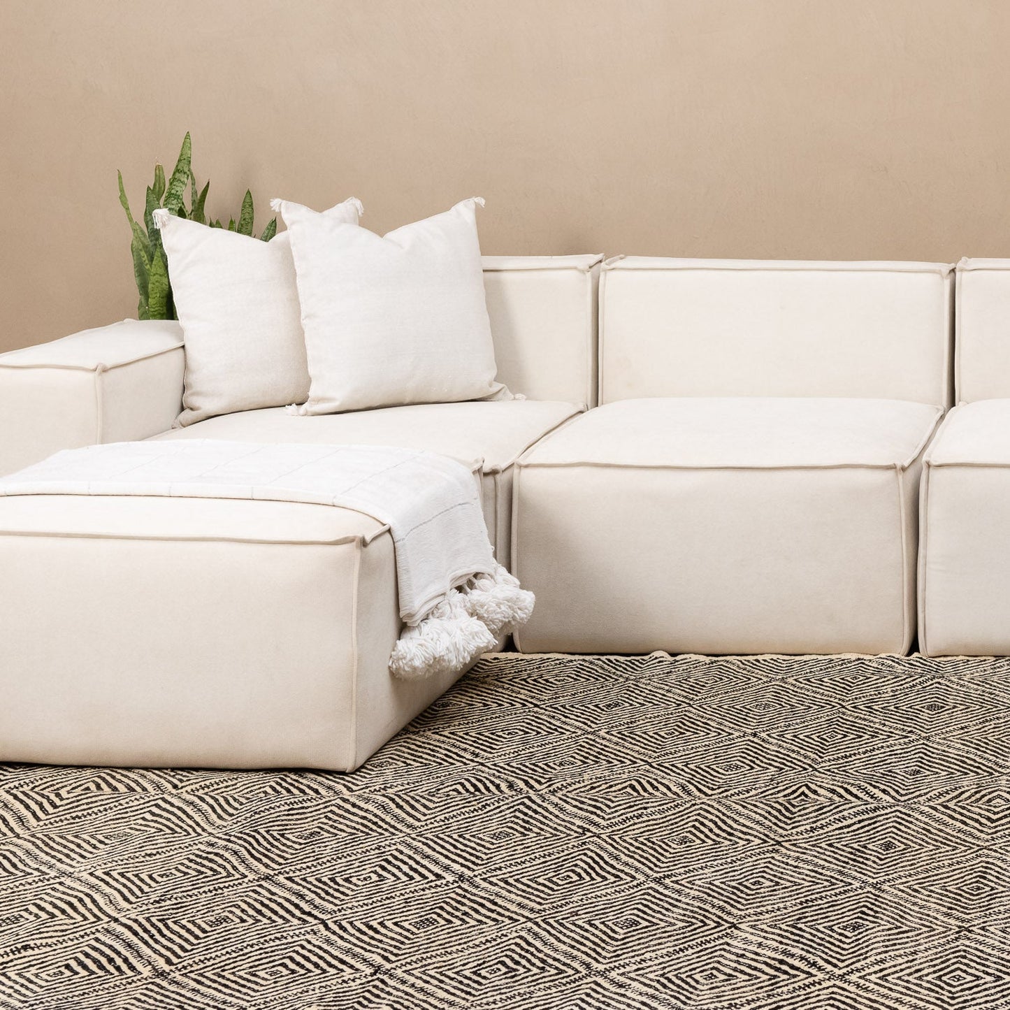 Tafrara - taznakht kilim rug