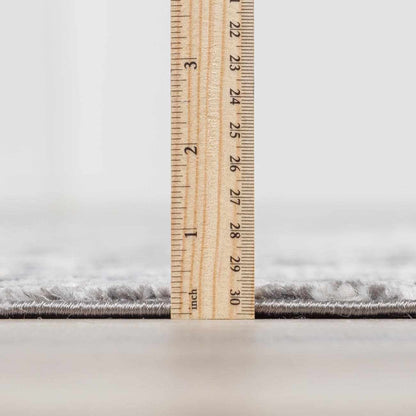 Georgiana Charcoal Area Rug