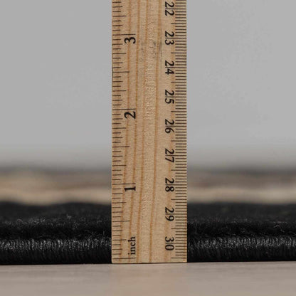 Buckhaven Black Southwestern Area Rug