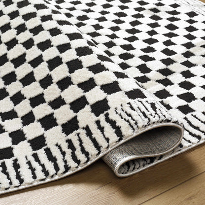 Leryn Black & White Checkered Area Rug