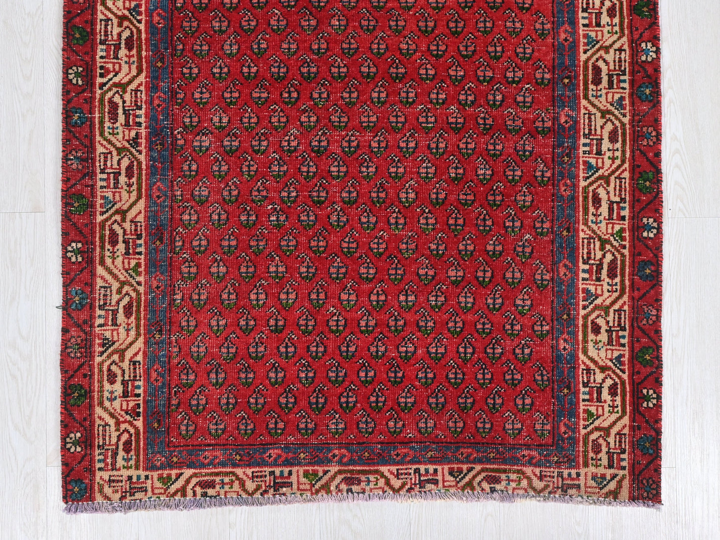3' 4" x 9' 2"