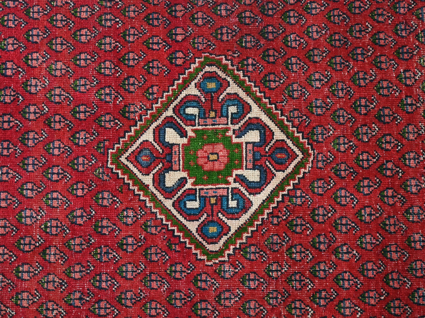 3' 4" x 9' 2"