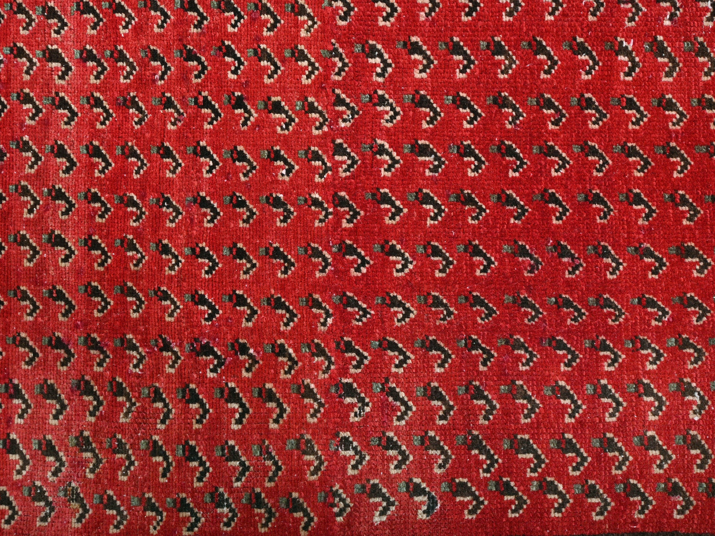 2' 11" x 8' 7"