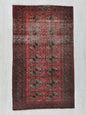 2' 10" x 5' 1"