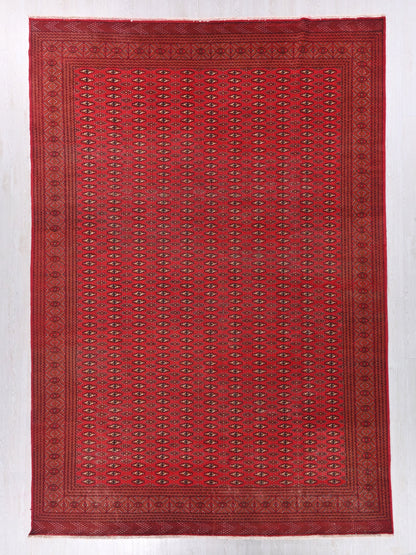 9' 11" x 12' 8"