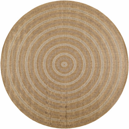 Dyami Flatweave Faux Jute Rug