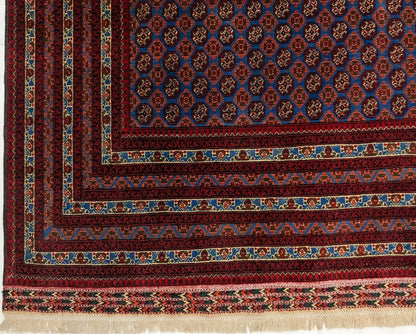 Balouch-Bokhara (6'06"x10'05") blue/dk.red