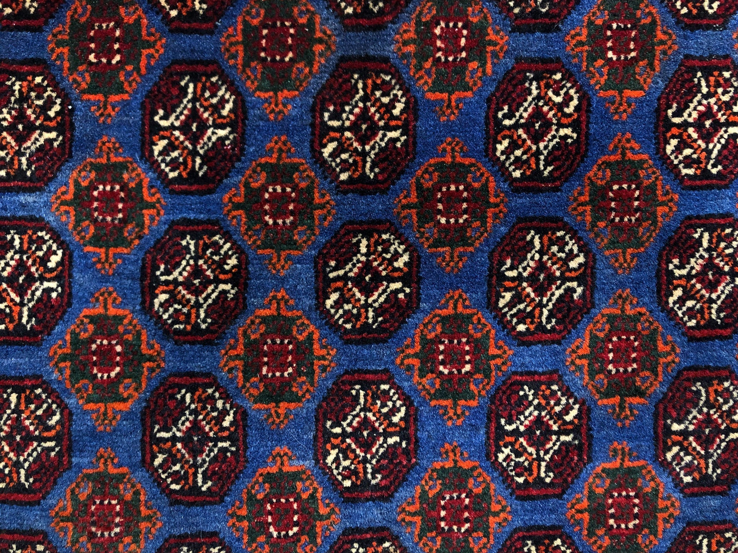 Balouch-Bokhara (6'06"x10'05") blue/dk.red