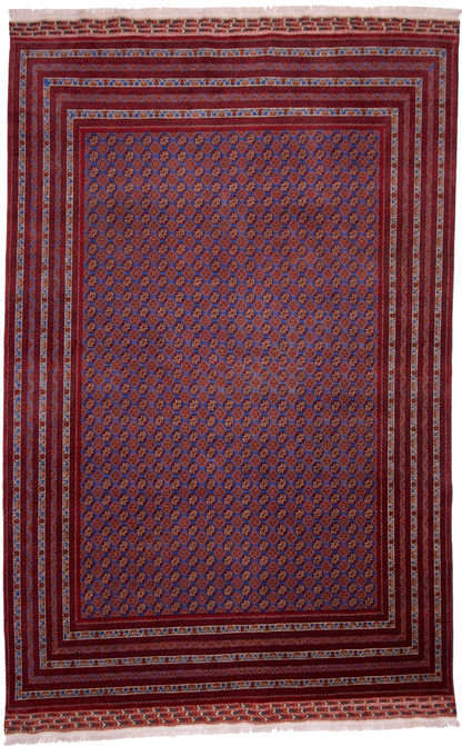 Balouch-Bokhara (6'06"x10'05") blue/dk.red