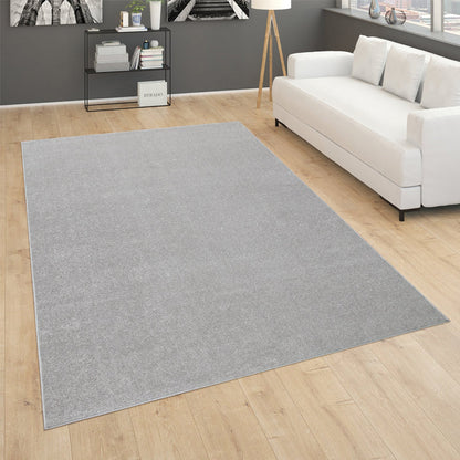 Solid Flatweave Rug Porto for Living Room - Silver