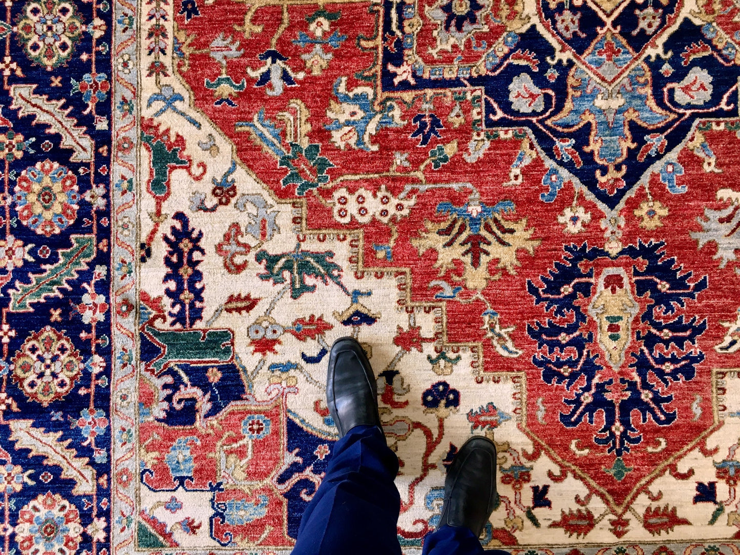 Serapi (9'00"x11'07") red/ivory/navy