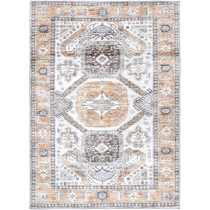 Cersi Machine Washable in Multicolor Rug