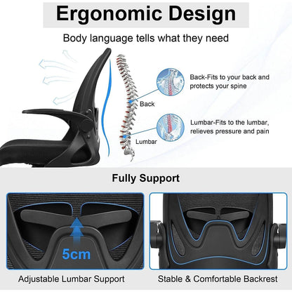 Ergonomic Mesh Office Chair With Adjustable Height