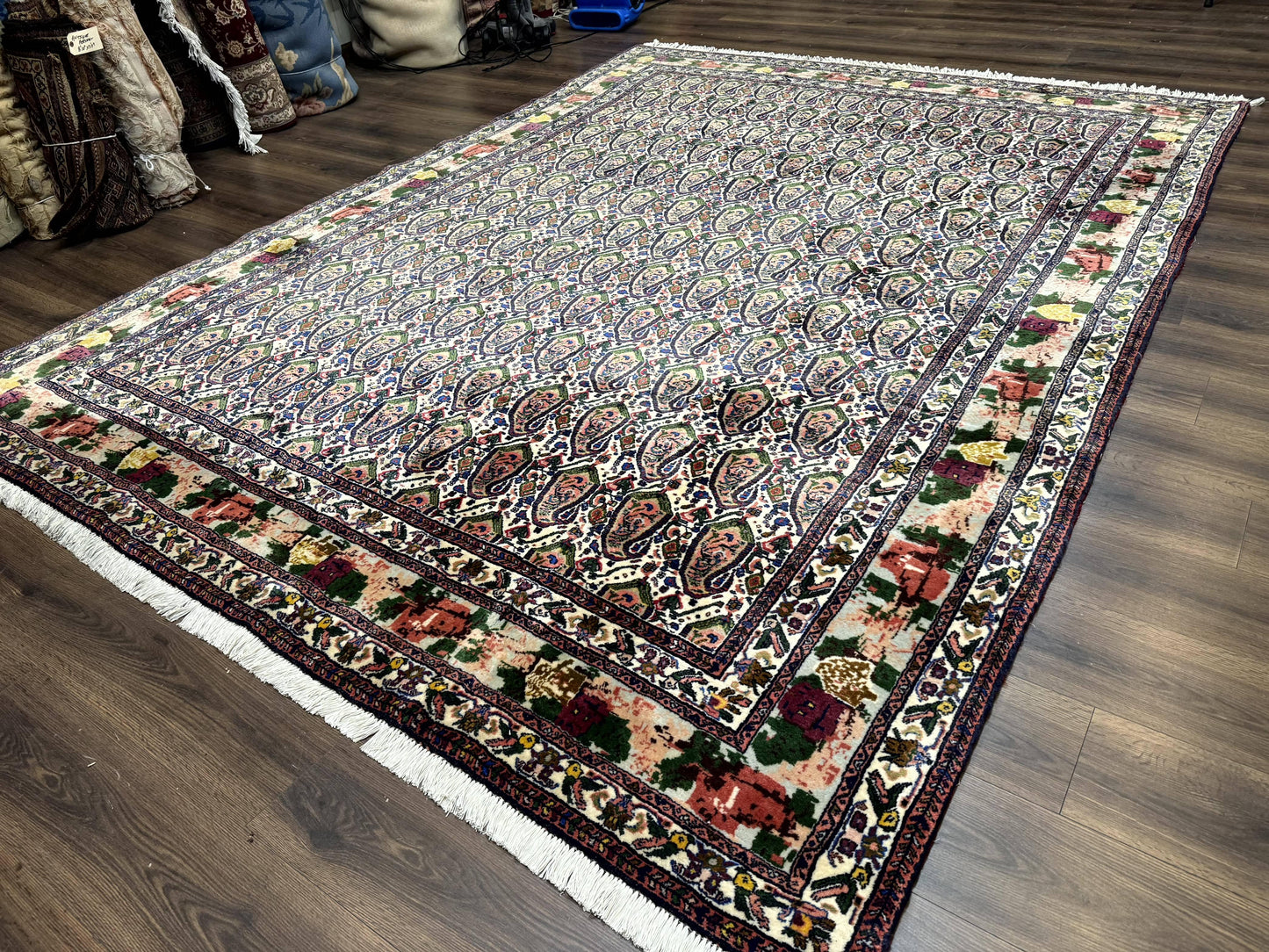 Persian Rug 8x11, Boteh Design, Repeated Paisleys, Persian Kurdish Rug, Bird Pictorials, Rare Antique Persian Kurdish Sannadaji Carpet