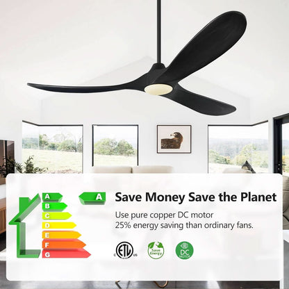 52Inch Matte Black Ceiling Fan Indoor Outdoor Low Noise