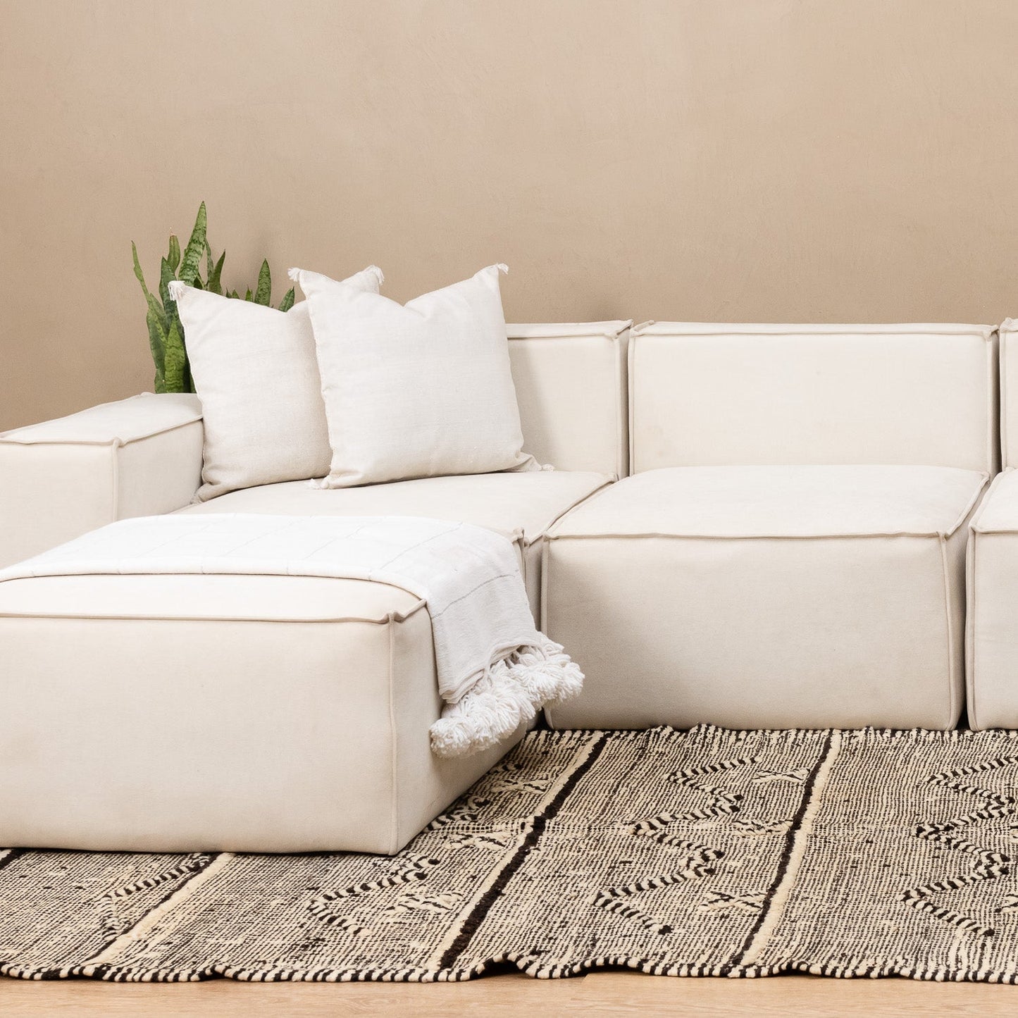 Agourai - taznakht kilim rug